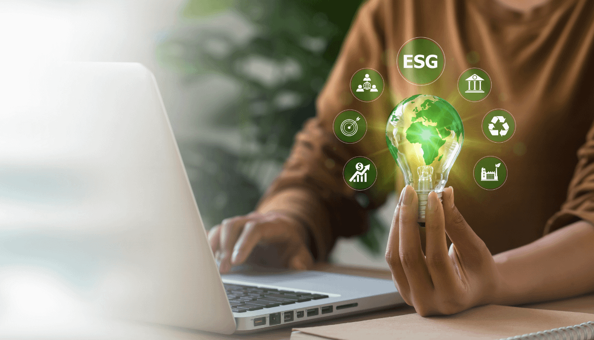 Creating a Sustainable Investment Strategy